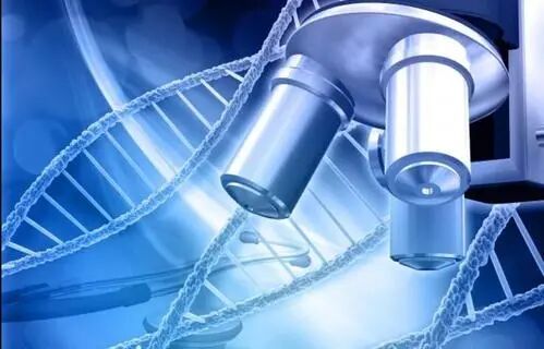 连云港亲子鉴定在哪里做,费用是多少？