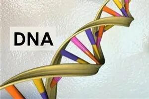 做親子鑒定要去哪個(gè)醫(yī)院？醫(yī)院可以做親子鑒定嗎？