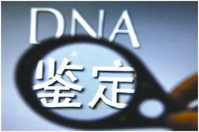 DNA亲子鉴定用什么仪器检测准不？