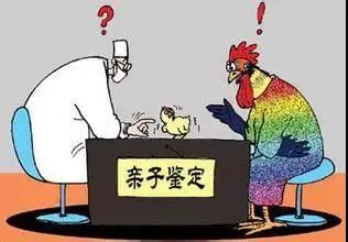 亲子鉴定有几种方式可以做？你知道吗？