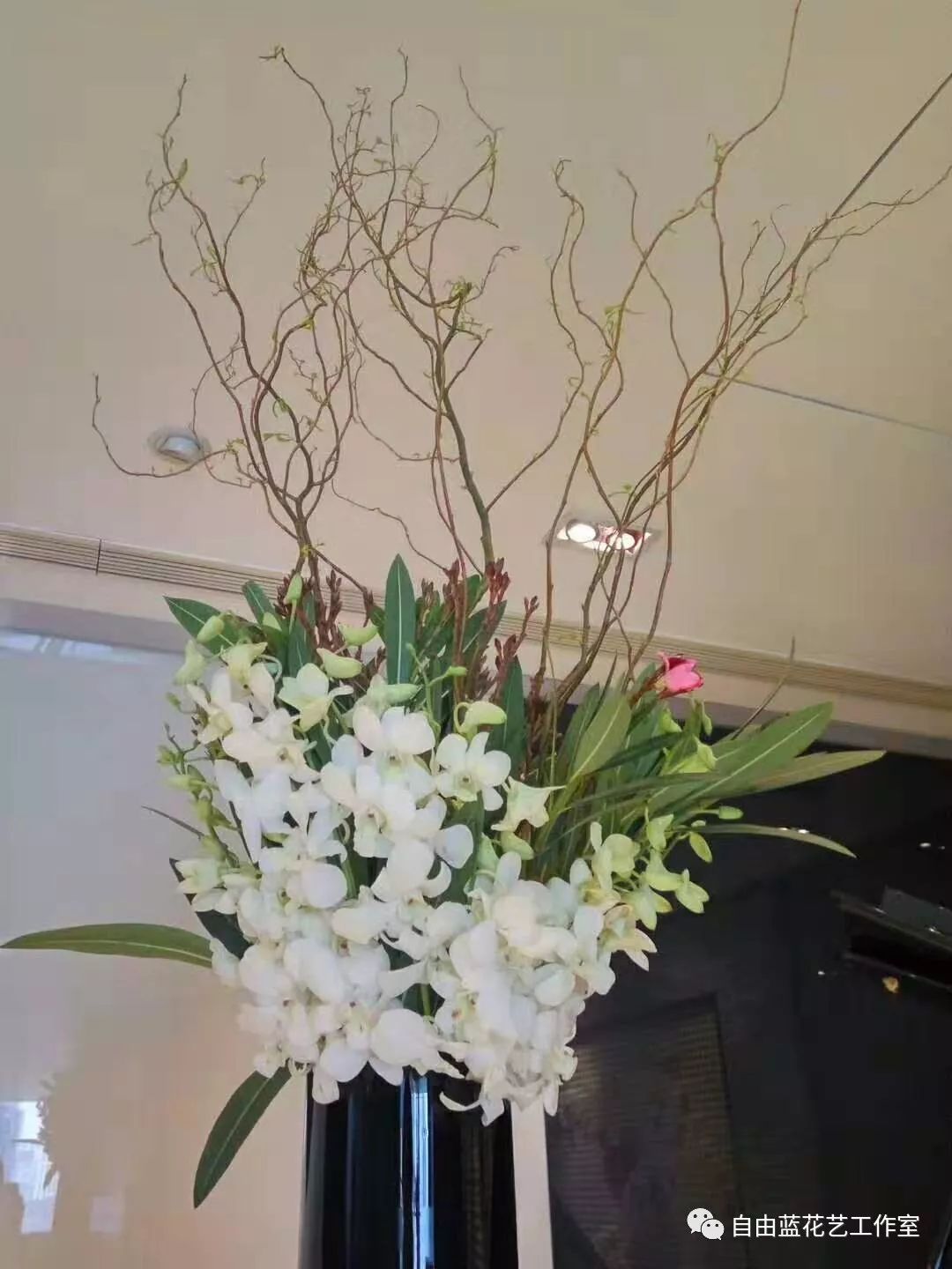 为公司提供简约 国际 现代插花与植物设计 我们是空间美学设计师 每周一花 自由蓝花艺工作室 微信公众号文章阅读 Wemp