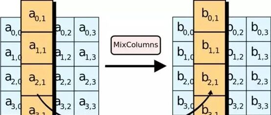 cover_image