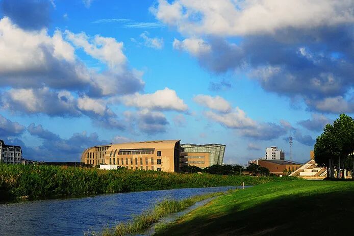 从上海海事大学到华东师范大学：每一个决定，都事关成败(图7)