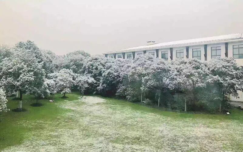 从上海商学院到上海大学：你很少会赢，但有时也会(图5)