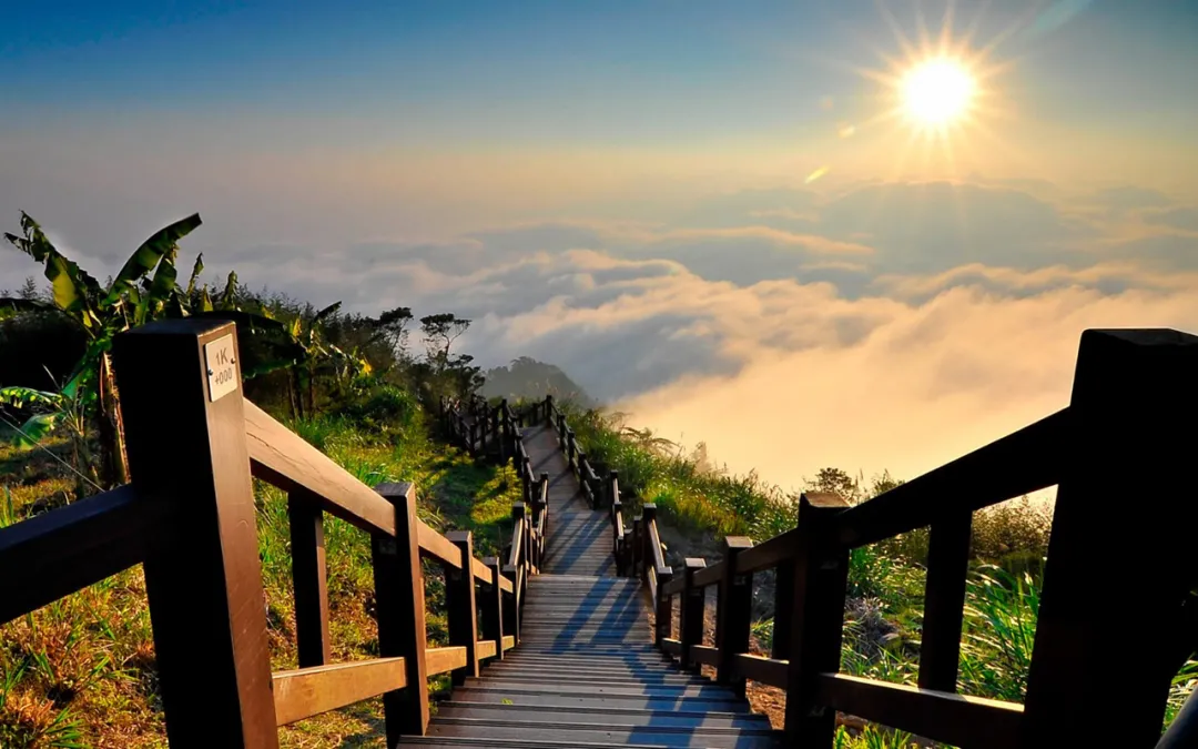 640?wx_fmt=jpeg&tp=webp&wxfrom=5&wx_lazy=1&wx_co=1