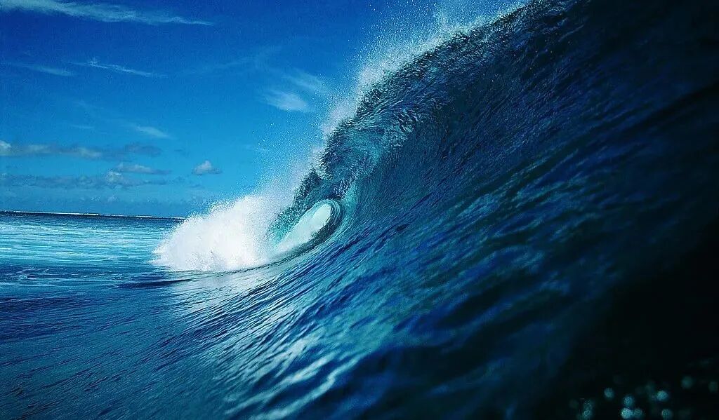 640?wx_fmt=jpeg&tp=webp&wxfrom=5&wx_lazy=1&wx_co=1