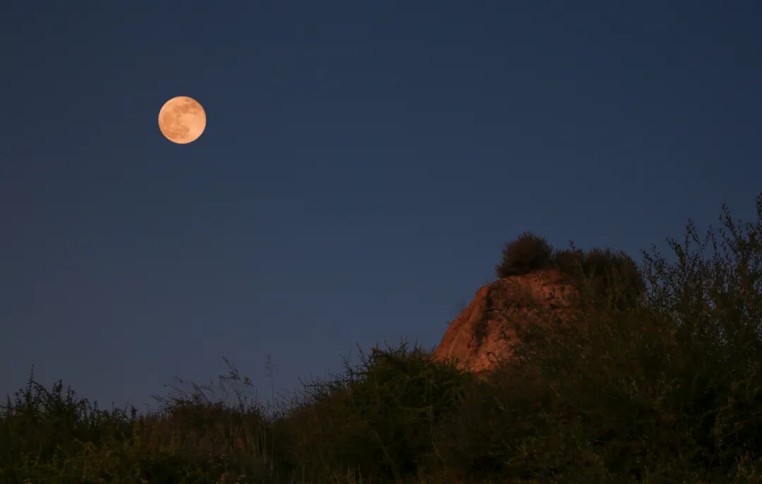 长城永在我心上背景_长城的历史背景_长城的价值背景