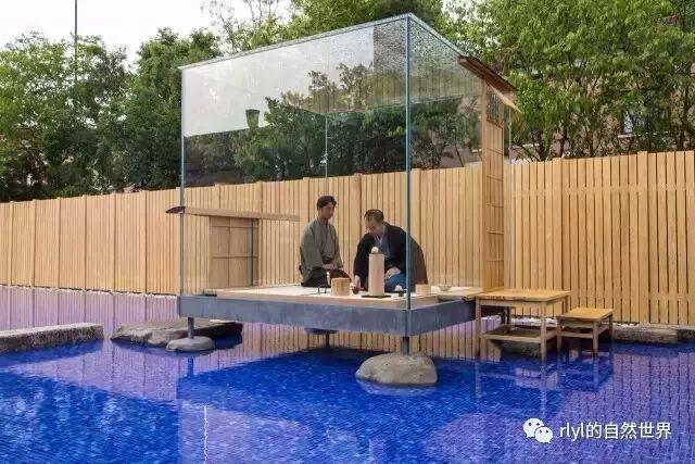 茶室 不只是茶 Rlyl的自然世界 微文庫