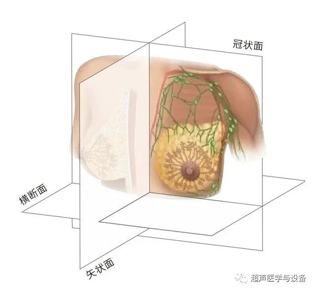 siui彩超怎么用第84届CMEF超声厂家“群英会”---汕头超声：中国超声行业的“老大哥”_https://www.jmylbn.com_新闻资讯_第17张