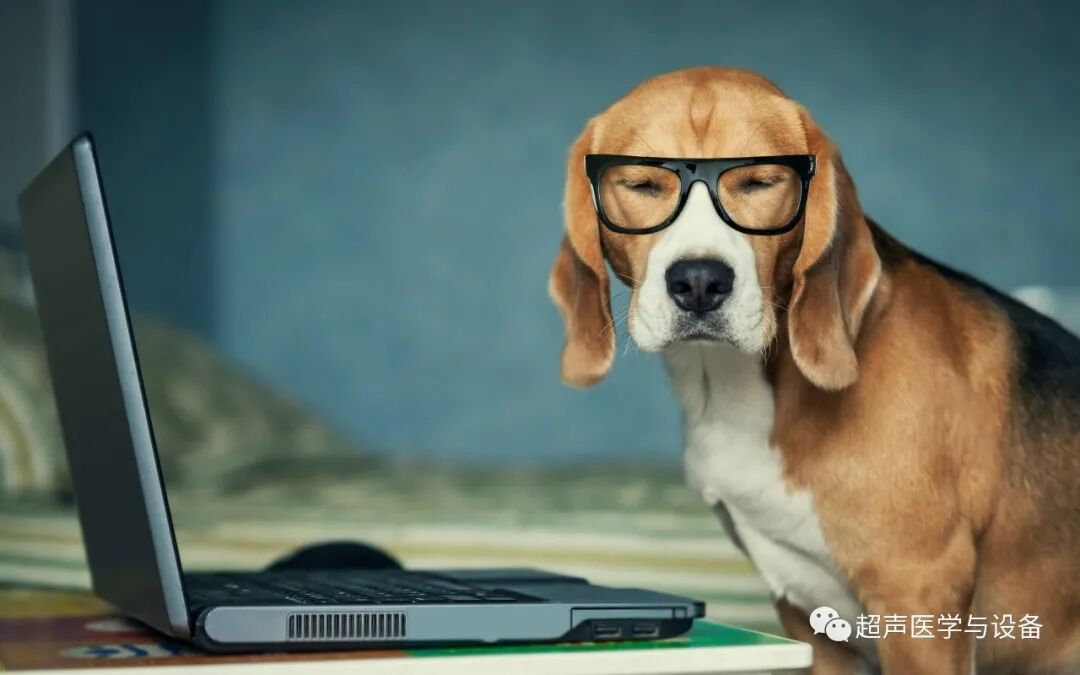 华声医疗 怎么样第84届CMEF超声厂家“八仙过海”---华声医疗：“新超声”-另辟蹊径的Wise man_https://www.jmylbn.com_新闻资讯_第26张