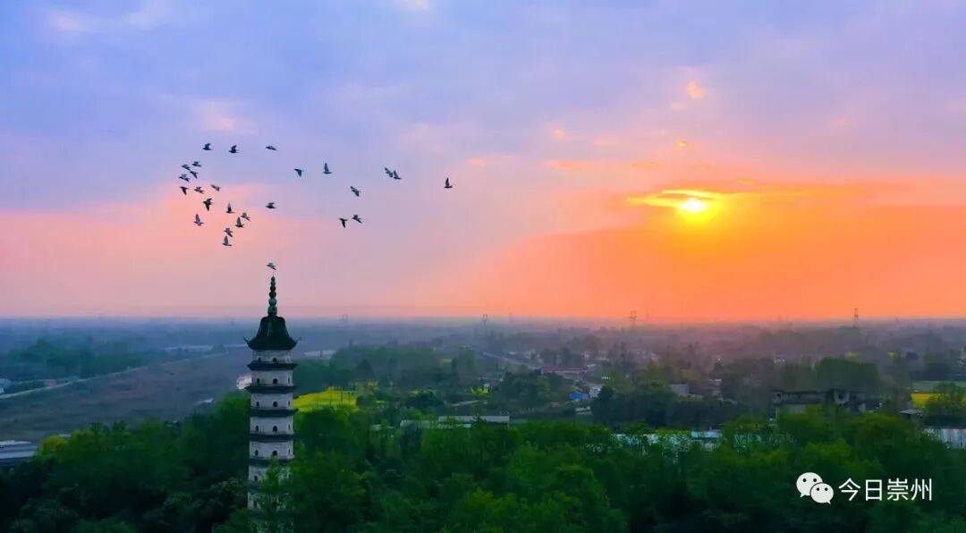 【魅力崇州】怀远三绝 非遗美食