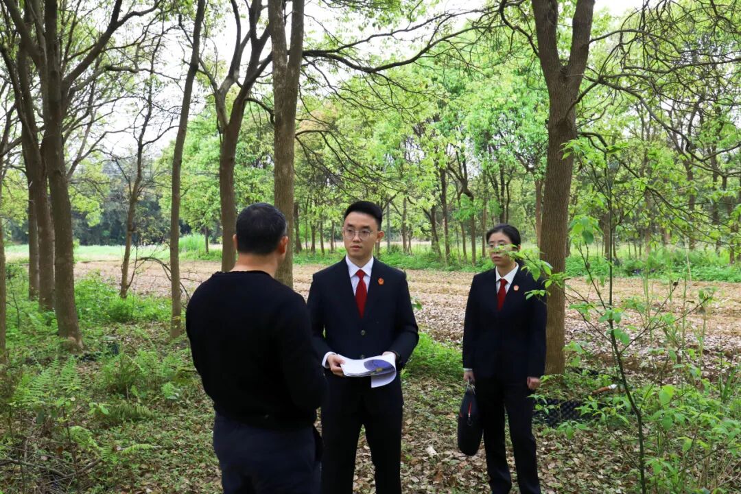 法官实地查看了解情况