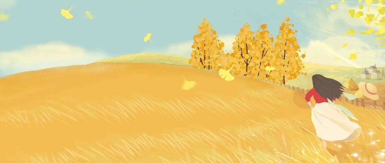 安利一个冷门却逆天的副业