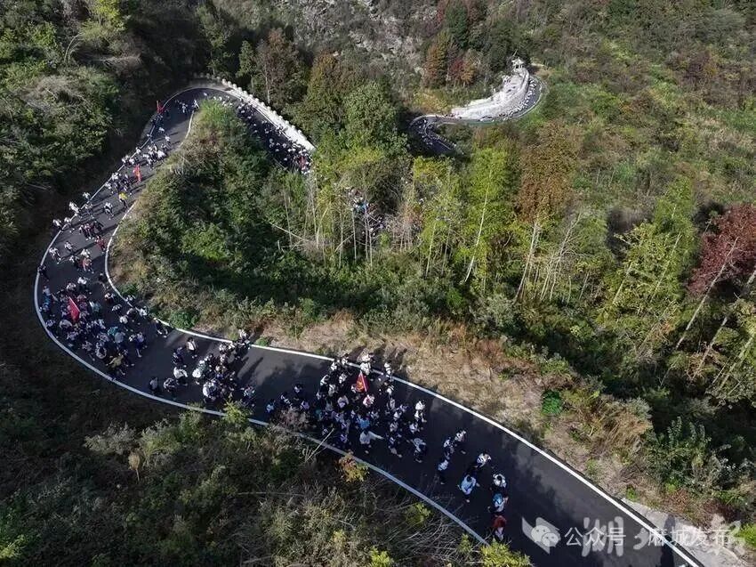 高校赋能，乡村蝶变：博天下app手机客户端助力东垸(1).doc