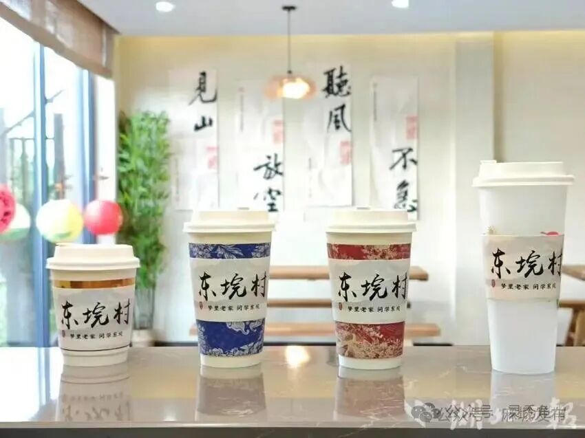 高校赋能，乡村蝶变：博天下app手机客户端助力东垸(1).doc