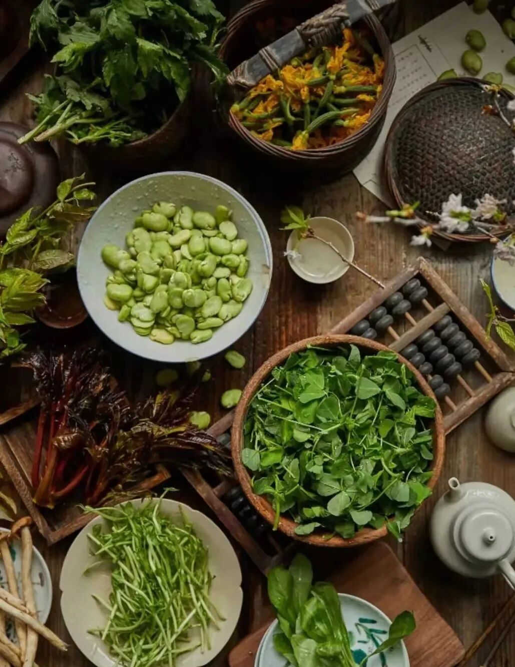 把春天吃到嘴里 时令野菜清爽又养生 鹦鹉厨房 每日精选公众号文章