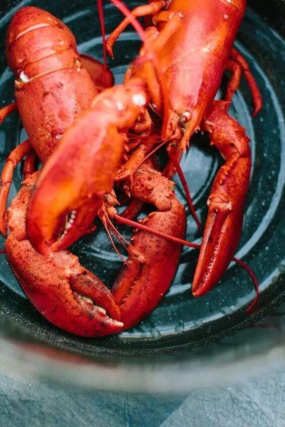 小龙虾和龙虾有什么区别我们常见的龙虾有哪些