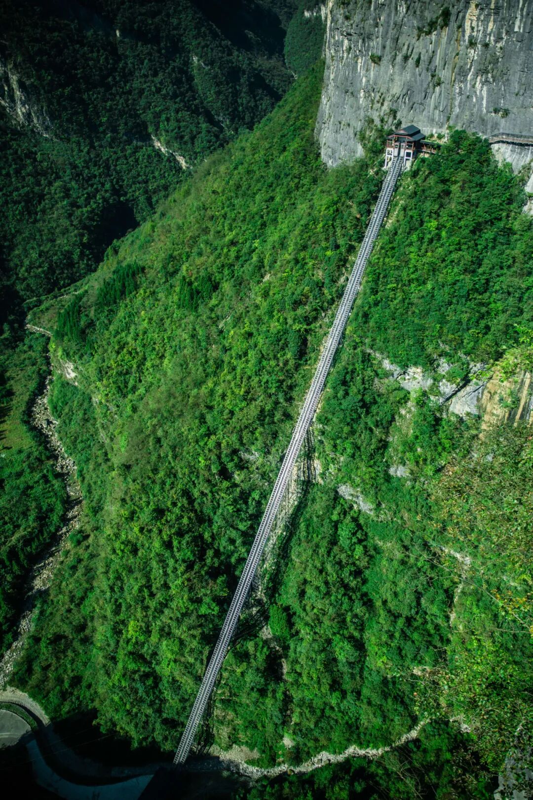 恩施鹿院坪景区春日献礼宠你到底持续四天免大门票