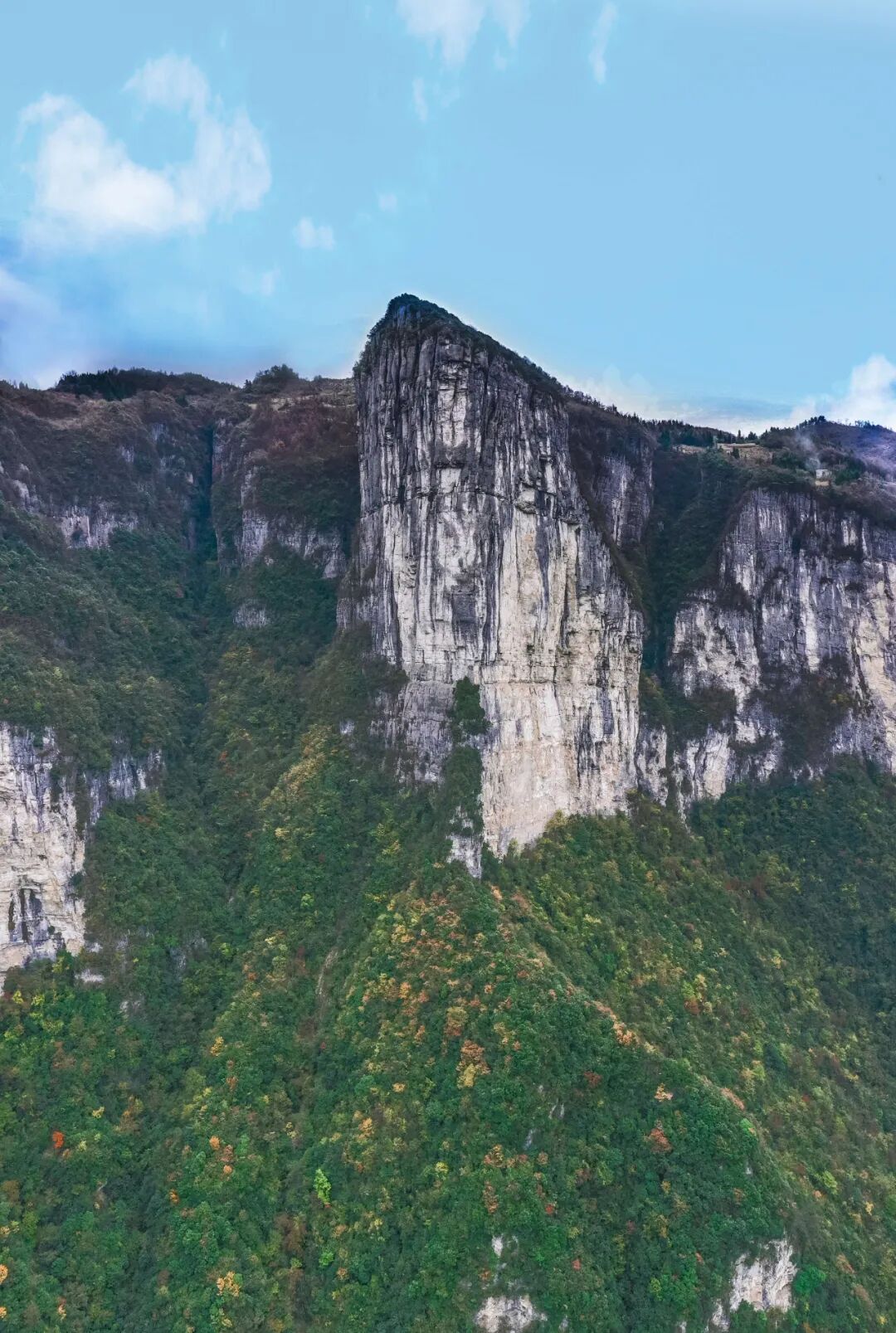 恩施鹿院坪景区春日献礼宠你到底持续四天免大门票