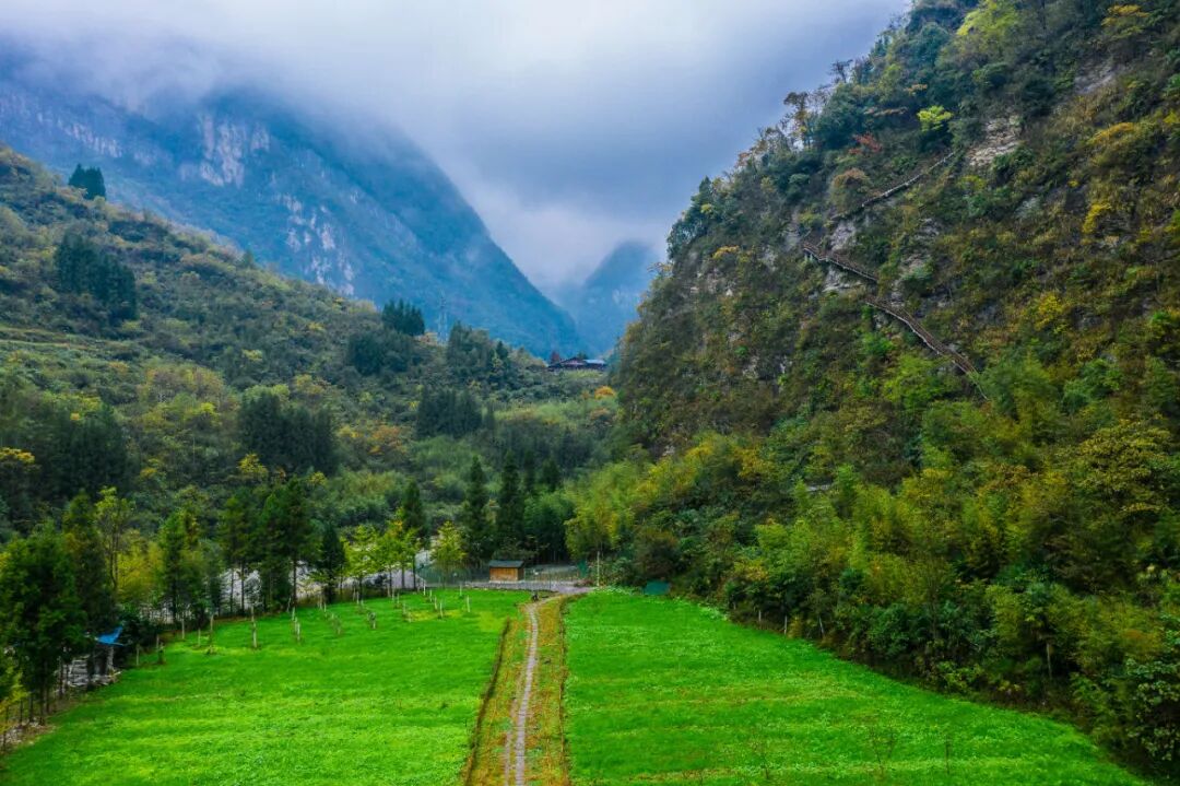 恩施鹿院坪景区春日献礼宠你到底持续四天免大门票