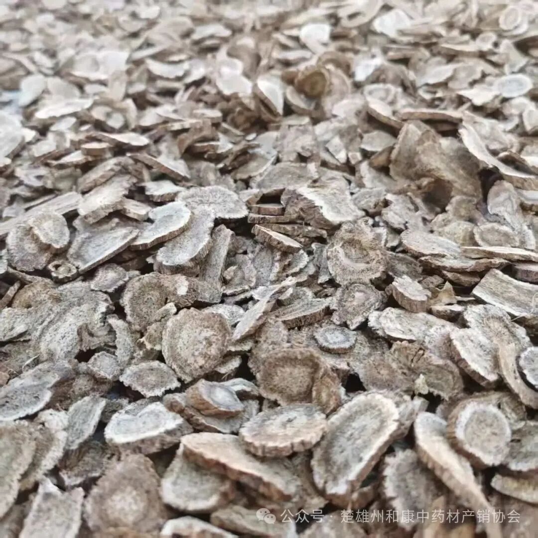 云南中药材产地快讯