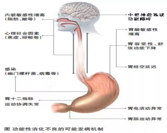肠电图能查看什么烟台首台“胃肠电图”检测仪 ｜ 胃肠检查更轻松_https://www.jmylbn.com_新闻资讯_第2张