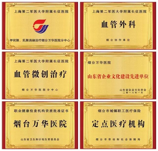 肠电图能查看什么烟台首台“胃肠电图”检测仪 ｜ 胃肠检查更轻松_https://www.jmylbn.com_新闻资讯_第13张