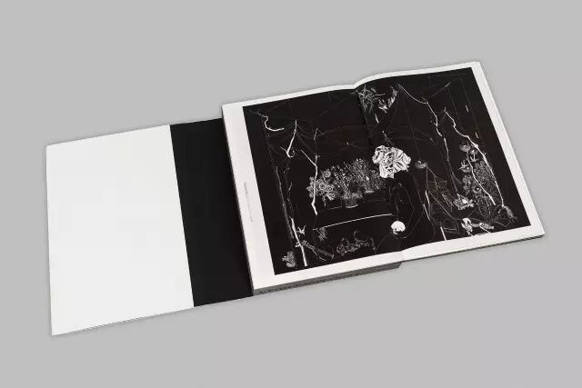 大奖在即 缤纷展望 |《冷冰川墨刻》:黑白情思交织美的篇章【上海戒指