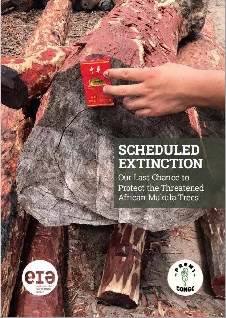 预定灭绝！关于血檀，环境调查署发布最新调查报告，第18届CI