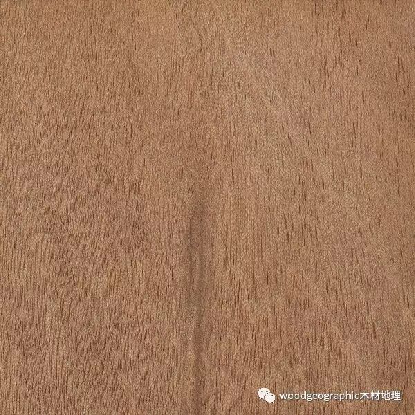 奥古曼(奥堪美,奥克榄)木材简介