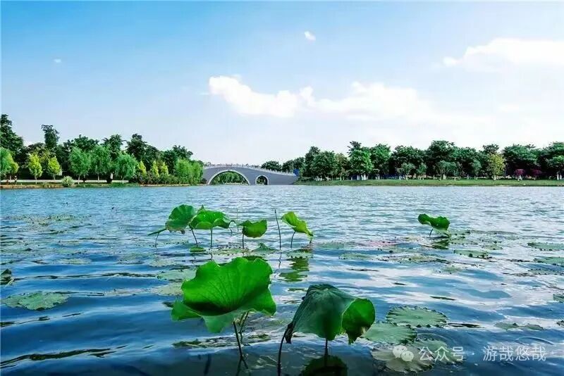 弥勒怎么玩?这里被形容为"半城温泉半城湖"