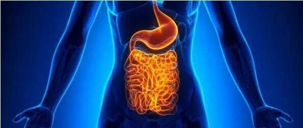 “肠”不健康，可能会致命！