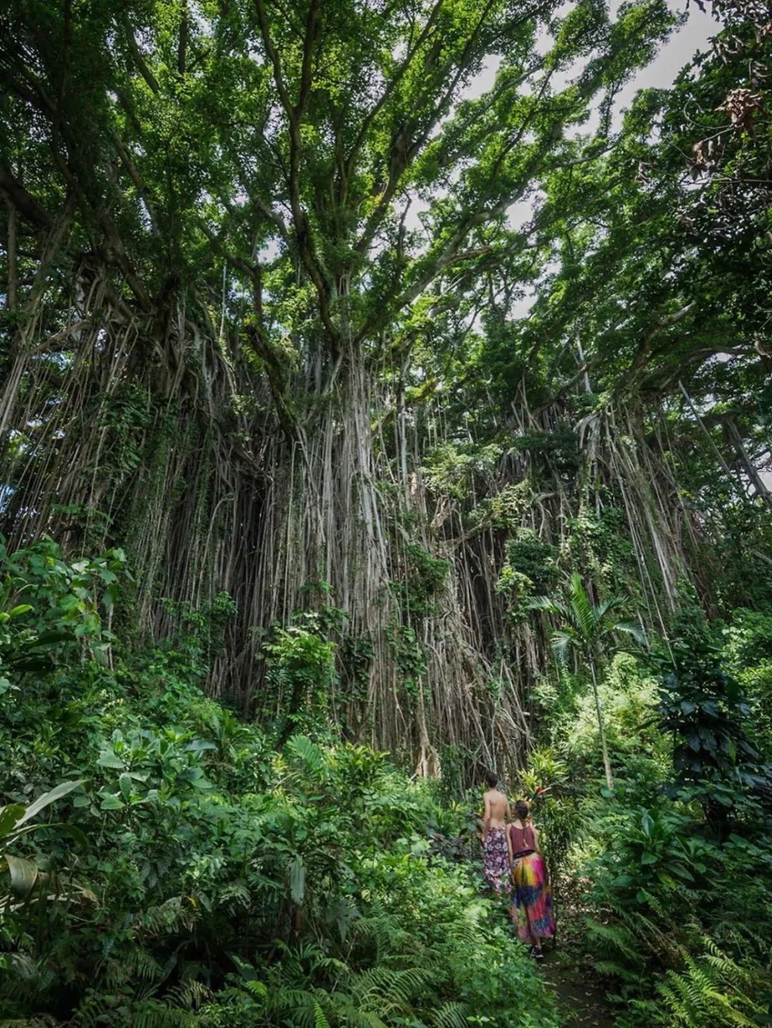 瓦努阿圖，地獄裡的卑微與信仰 旅遊 第49張