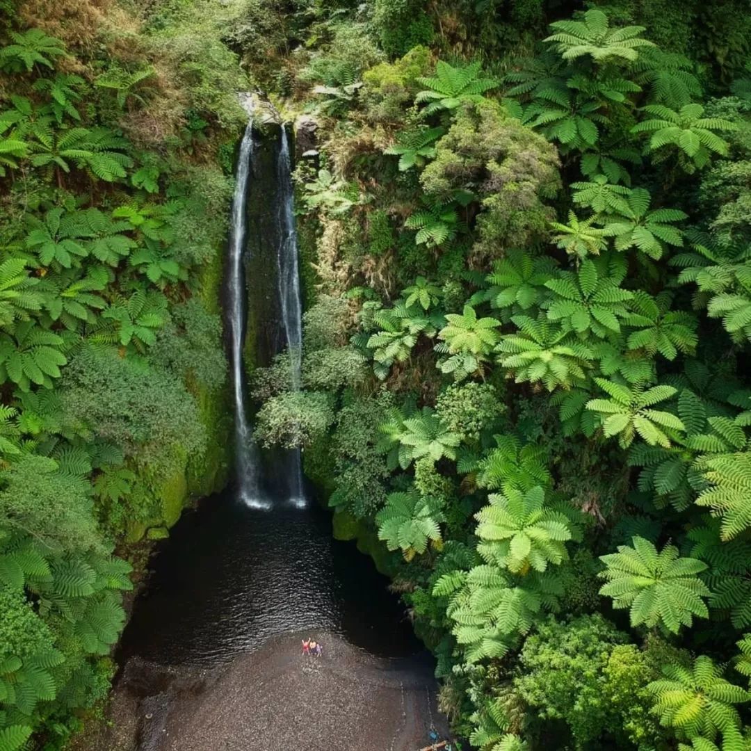 瓦努阿圖，地獄裡的卑微與信仰 旅遊 第142張