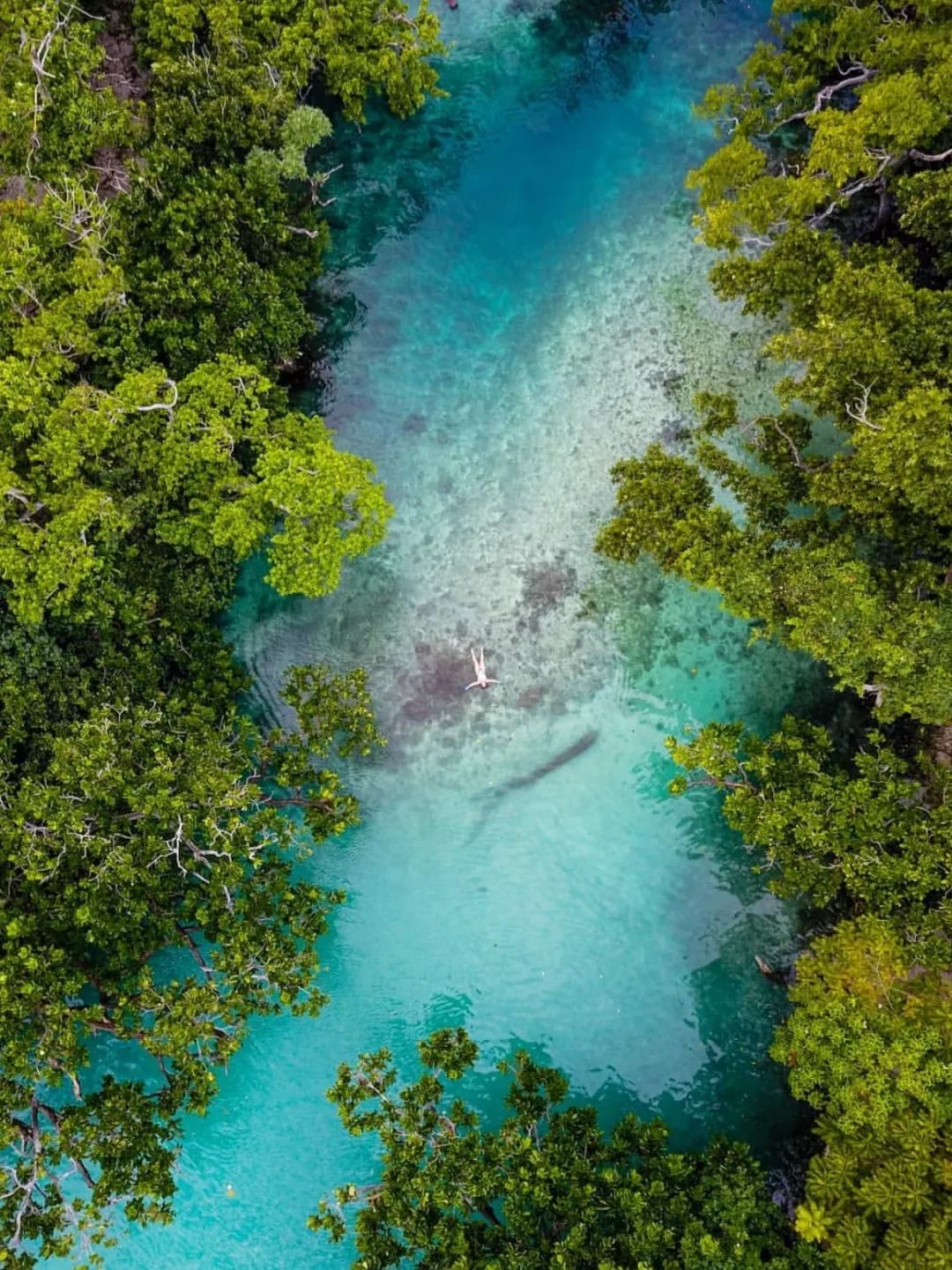 瓦努阿圖，地獄裡的卑微與信仰 旅遊 第135張