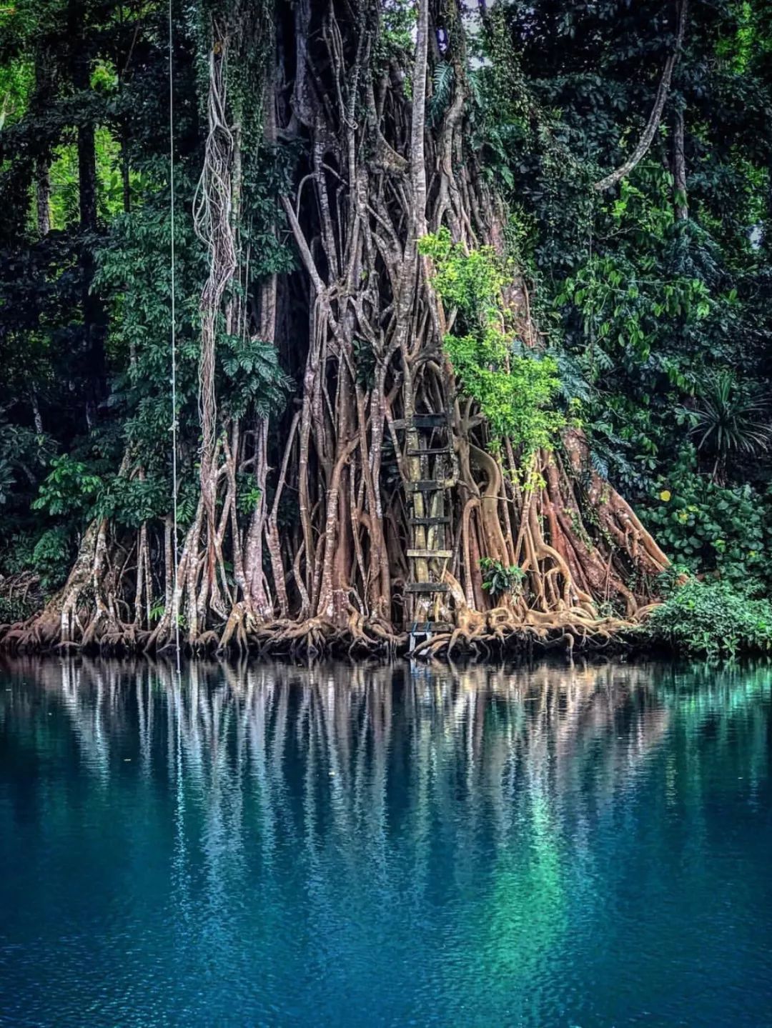 瓦努阿圖，地獄裡的卑微與信仰 旅遊 第137張