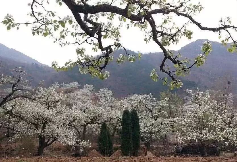 最新通告！清明假期，河北這些地兒不能去，因為…… 旅遊 第43張