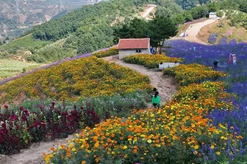 最新通告！清明假期，河北這些地兒不能去，因為…… 旅遊 第38張