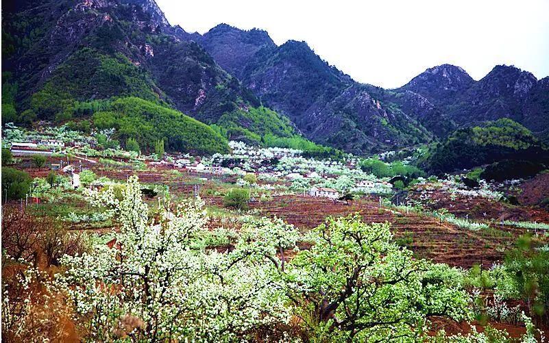 最新通告！清明假期，河北這些地兒不能去，因為…… 旅遊 第33張