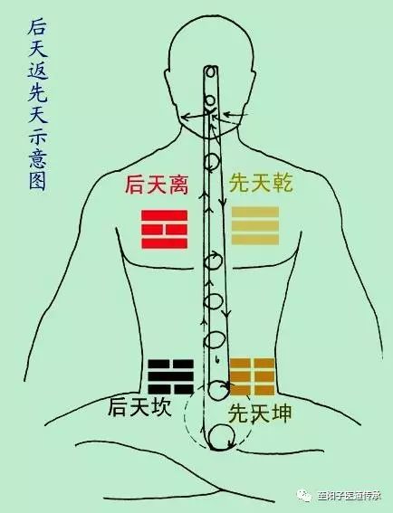 气脉走向图图片