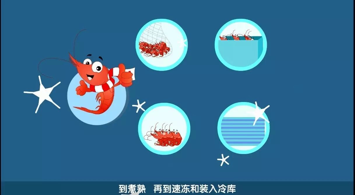 冷冻10分钟;从冷冻线下来的北极虾,被装进5公斤的大盒,送入船上的冷