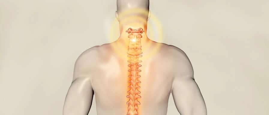 为什么脖子一转就咔咔响？这几类人群千万不要随意扭脖子