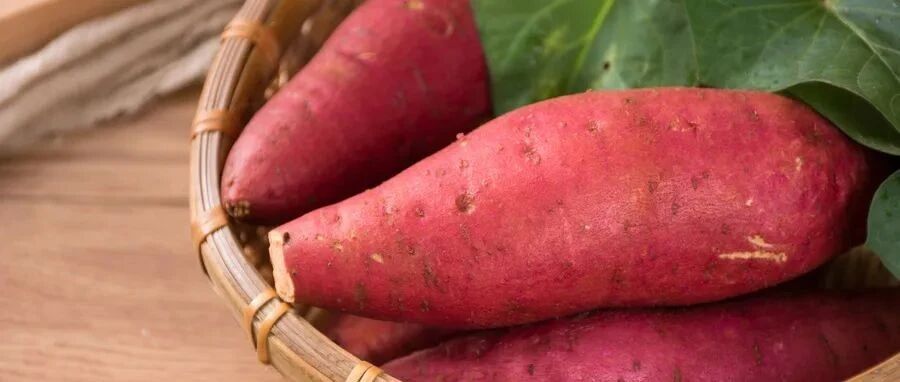 爱吃这种食物的人，极少生病！懂行的医生都爱吃