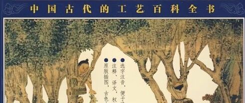 cover_image