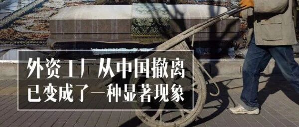 cover_image