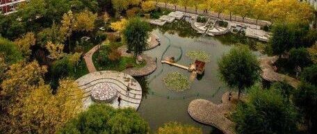 八卦阵真的有用吗？揭秘S大校内四大阴地传说！