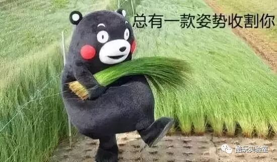 大数据黑产要一波团灭了：爬虫玩得好，监狱进得早