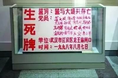 白鲟灭绝，为什么有人要炸掉三峡大坝？（组图） - 18