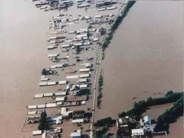 白鲟灭绝，为什么有人要炸掉三峡大坝？（组图） - 21