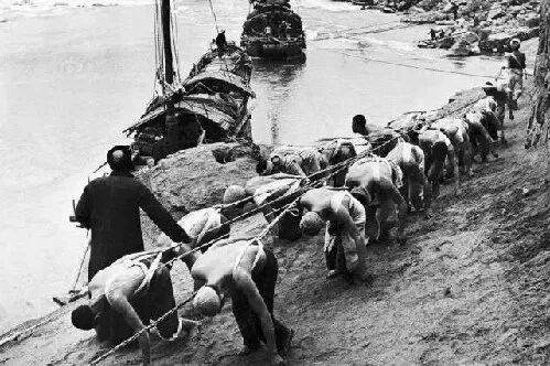 白鲟灭绝，为什么有人要炸掉三峡大坝？（组图） - 15